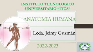INSTITUTO TECNOLOGICO
UNIVERSITARIO “ITCA”
ANATOMIA HUMANA
Lcda. Jeimy Guzmán
2022-2023
 