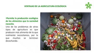 Presentación 1. Agricultura ecológica.pdf