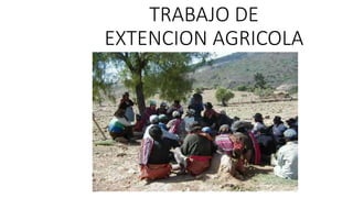 TRABAJO DE
EXTENCION AGRICOLA
 