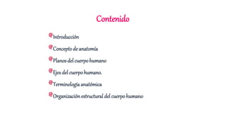 Contenido
Introducción
Concepto de anatomía
Planos del cuerpo humano
Ejes del cuerpohumano.
Terminología anatómica
Organización estructural del cuerpo humano
 