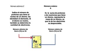 Número atómico Z Número másico
A
Indica el número de
protones que tiene el
núcleo de un átomo. Da
identidad al elemento. Si
el átomo es neutro,
también se determina la
cantidad de electrones.
Número atómico de
hierro (Fe) es 26
Es la suma de protones
y de neutrones que tiene
un átomo, representa la
masa de un átomo, ya
que la de los electrones
es despreciable.
Número másico de
hierro (Fe) es 56
 