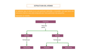 Tiene dos
partes
El átomo
Formada por Formado por
Protones Neutrones
Corteza Núcleo
Electrones
Ya sabemos que el átomo no es una partícula indivisible e inmutable, sino que tiene una
estructura interna y que está compuesta por otras partículas más pequeñas.
Veámoslo con detalle:
ESTRUCTURA DEL ATOMO
 