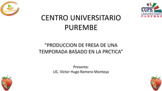 CENTRO UNIVERSITARIO
PUREMBE
Presenta:
LIC. Víctor Hugo Romero Montoya
“PRODUCCION DE FRESA DE UNA
TEMPORADA BASADO EN LA PRCTICA”
 