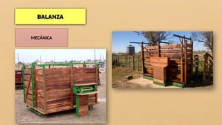 BALANZA
MECÁNICA
 