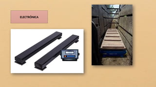 ELECTRÓNICA
 