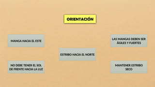ORIENTACIÓN
MANGA HACIA EL ESTE
ESTRIBO HACIA EL NORTE
NO DEBE TENER EL SOL
DE FRENTE HACIA LA LUZ
MANTENER ESTRIBO
SECO
LAS MANGAS DEBEN SER
ÁGILES Y FUERTES
 