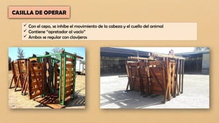 CASILLA DE OPERAR
 Con el cepo, se inhibe el movimiento de la cabeza y el cuello del animal
 Contiene ‘‘apretador al vacío’’
 Ambos se regular con clavijeros
 