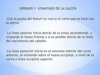 SERRADO Y LEVANTADO DE LA CALOTA
-Con la punta del bisturí se marca el corte que se hará con
la sierra.
-La línea anterior inicia detrás de la oreja ascendiendo y
cruzando el hueso frontal y si es posible detrás de la línea
del nacimiento del cabello.
-La línea posterior inicia en el extremo inferior del corte
anterior, se extiende sobre el hueso occipital, a nivel de la
curva o línea occipital superior.
 