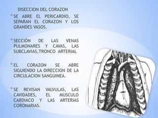 DISECCION DEL CORAZON
*SE ABRE EL PERICARDIO, SE
SEPARAN EL CORAZON Y LOS
GRANDES VASOS.
*SECCIÓN DE LAS VENAS
PULMONARES Y CAVAS, LAS
SUBCLAVIAS,TRONCO ARTERIAL
*EL CORAZON SE ABRE
SIGUIENDO LA DIRECCION DE LA
CIRCULACION SANGUINEA.
*SE REVISAN VALVULAS, LAS
CAVIDADES, EL MUSCULO
CARDIACO Y LAS ARTERIAS
CORONARIAS.
 
