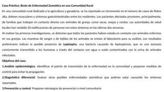 Caso Práctico: Brote de Enfermedad Zoonótica en una Comunidad Rural
En una comunidad rural dedicada a la agricultura y ganadería, se ha reportado un incremento en el número de casos de fiebre
alta, dolores musculares y síntomas gastrointestinales entre los residentes. Los pacientes afectados provienen, principalmente,
de familias que trabajan en contacto directo con animales de granja, como vacas, ovejas y cerdos. Las autoridades de salud
locales han recibido 20 notificaciones de personas con estos síntomas en las últimas dos semanas.
Al realizar las primeras investigaciones, se detectan que todos los pacientes habían estado en contacto con animales enfermos
en sus granjas. Las muestras de sangre y de tejidos de los animales se envían al laboratorio para su análisis. Los resultados
preliminares indican la posible presencia de Leptospira, una bacteria causante de leptospirosis, que es una zoonosis
comúnmente transmitida a los humanos a través del contacto con agua o suelo contaminados con la orina de animales
infectados.
Objetivos del caso:
1.Análisis epidemiológico: Identificar el patrón de transmisión de la enfermedad en la comunidad y proponer medidas de
control para evitar la propagación.
2.Diagnóstico diferencial: Evaluar otras posibles enfermedades zoonóticas que podrían estar causando los síntomas
reportados.
3.Prevención y control: Proponer estrategias de prevención a nivel comunitario.
 