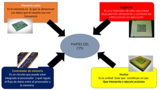 Componentes esenciales del CPU y su funcionamiento detallado | PPTX