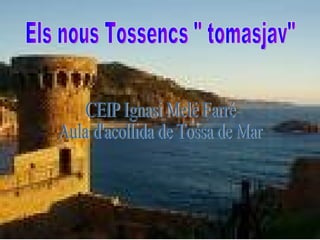 Els nous Tossencs &quot; tomasjav&quot; CEIP Ignasi Melé Farré Aula d'acollida de Tossa de Mar 
