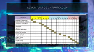Estructura de un protocolo | PPTX