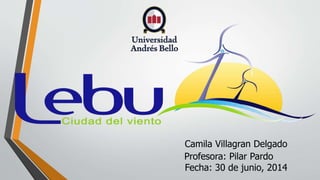Camila Villagran Delgado
Profesora: Pilar Pardo
Fecha: 30 de junio, 2014
 