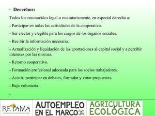 · Derechos:
Todos los reconocidos legal o estatutariamente, en especial derecho a:
- Participar en todas las actividades de la cooperativa.
- Ser elector y elegible para los cargos de los órganos sociales.
- Recibir la información necesaria.
- Actualización y liquidación de las aportaciones al capital social y a percibir
intereses por las mismas.
- Retorno cooperativo.
- Formación profesional adecuada para los socios trabajadores.
- Asistir, participar en debates, formular y votar propuestas.
- Baja voluntaria.
·
 