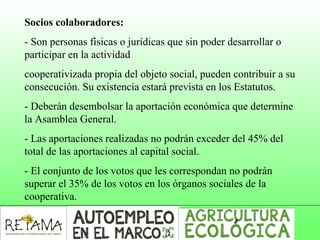Socios colaboradores:
- Son personas físicas o jurídicas que sin poder desarrollar o
participar en la actividad
cooperativizada propia del objeto social, pueden contribuir a su
consecución. Su existencia estará prevista en los Estatutos.
- Deberán desembolsar la aportación económica que determine
la Asamblea General.
- Las aportaciones realizadas no podrán exceder del 45% del
total de las aportaciones al capital social.
- El conjunto de los votos que les correspondan no podrán
superar el 35% de los votos en los órganos sociales de la
cooperativa.
 