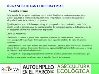 ÓRGANOS DE LAS COOPERATIVAS
· Asamblea General
Es la reunión de los socios constituída con el objeto de deliberar y adoptar acuerdos sobre
asuntos que, legal o estatutariamente, sean de su competencia, vinculando las decisiones
adoptadas a todos los socios de la cooperativa.
Fijará la política general de la cooperativa y le corresponderá en exclusiva el examen de la
gestión social, la aprobación de las cuentas anuales, del informe de gestión y de la aplicación de
los excedentes disponibles o imputación de pérdidas.
Clases de Asambleas:
- Ordinarias: Examinan la gestión social y aprueban, si procede, las cuentas anuales. Deberán ser
convocadas por el Consejo Rector dentro de los seis meses siguientes a la fecha del cierre del ejercicio
económico.
- Extraordinarias : Tratan temas distintos a los de las Asambleas Ordinarias. Serán convocadas a iniciativa del
Consejo Rector, a petición de un número de socios que represente el 20% del total de los votos, y, si lo prevén
los Estatutos, a solicitud de los Interventores.
- De delegados: Se eligen en juntas preparatorias cuando los Estatutos, en atención a las circunstancias que
dificultan la presencia de todos los socios en la Asamblea General, así lo prevean.
 