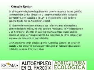 · Consejo Rector
Es el órgano colegiado de gobierno al que corresponde la alta gestión,
la supervisión de los directivos y la representación de la sociedad
cooperativa, con sujeción a la Ley, a los Estatutos y a la política
general fijada por la Asamblea General.
El número de consejeros no podrá ser inferior a tres ni superior a
quince debiendo existir, en todo caso un Presidente, un Vicepresidente
y un Secretario, excepto en las cooperativas de tres socios que no
existirá el cargo de Vicepresidente. La existencia de otros cargos y de
suplentes se recogerá en los Estatutos.
Los Consejeros serán elegidos por la Asamblea General en votación
secreta y por el mayor número de votos, por un periodo fijado en los
Estatutos de entre tres y seis años.
 