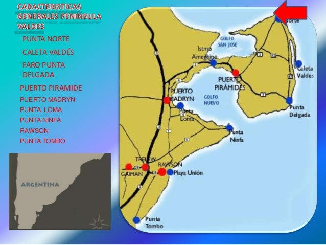 Peninsula Y Punta Tombo
