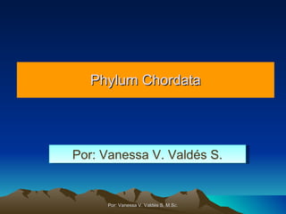Phylum Chordata Por: Vanessa V. Valdés S. M.Sc. Por: Vanessa V. Valdés S. 