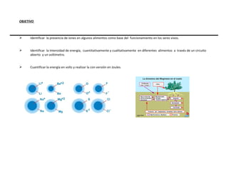 OBJETIVO  Identificar  la presencia de iones en algunos alimentos como base del  funcionamiento en los seres vivos.  Identificar  la Intensidad de energía,  cuantitativamente y cualitativamente  en diferentes  alimentos  a  través de un circuito abierto  y un voltímetro.  Cuantificar la energía en volts y realizar la con versión en Joules. 