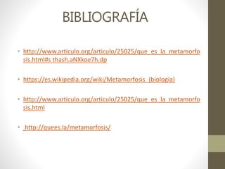 BIBLIOGRAFÍA
• http://www.articulo.org/articulo/25025/que_es_la_metamorfo
sis.html#s thash.aNXkoe7h.dp
• https://es.wikipedia.org/wiki/Metamorfosis_(biología)
• http://www.articulo.org/articulo/25025/que_es_la_metamorfo
sis.html
• http://quees.la/metamorfosis/
 