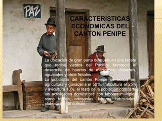 CARACTERISTICAS
ECONOMICAS DEL
CANTON PENIPE
La ubicación de gran parte del suelo en una ladera
que recibe vientos del Pacífico favoreció el
desarrollo de huertos de manzanos, duraznos,
aguacates y otros frutales.
La población del cantón Penipe se ocupa en:
agricultura y ganadería el 50%, fruticultura el 25%
y avicultura 13%, el resto de la población comparte
las actividades domésticas con labores múltiples
como tejidos, artesanías, labores industriales,
elaboración de quesos
 