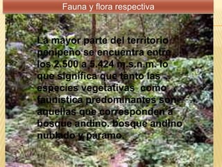 Fauna y flora respectiva
La mayor parte del territorio
penipeño se encuentra entre
los 2.500 a 5.424 m.s.n.m. lo
que significa que tanto las
especies vegetativas como
faunística predominantes son
aquellas que corresponden a
bosque andino. bosque andino
nublado y páramo.
 