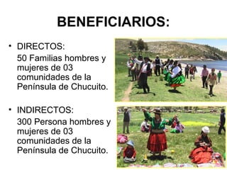 BENEFICIARIOS:
• DIRECTOS:
50 Familias hombres y
mujeres de 03
comunidades de la
Península de Chucuito.
• INDIRECTOS:
300 Persona hombres y
mujeres de 03
comunidades de la
Península de Chucuito.
 
