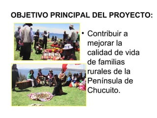 OBJETIVO PRINCIPAL DEL PROYECTO:
• Contribuir a
mejorar la
calidad de vida
de familias
rurales de la
Península de
Chucuito.
 