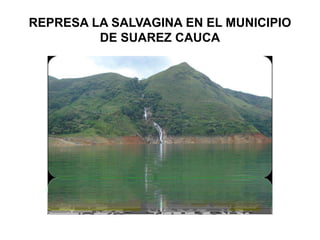 REPRESA LA SALVAGINA EN EL MUNICIPIO
         DE SUAREZ CAUCA
 