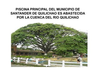 PISCINA PRINCIPAL DEL MUNICIPIO DE
SANTANDER DE QUILICHAO ES ABASTECIDA
   POR LA CUENCA DEL RIO QUILICHAO
 