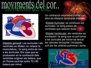 Un contracció anomenat sístole i un
                                      altre de dilatació anomenat diàstole.
                                      -Sístole Auricular: es contreuen les
                                      aurícules i la sang passa als
                                      ventricles que estaven buits.
                                      -Sístole Ventricular: els ventricles es
                                      contrauen i la sang que no pot tornar
                                      a les aurícules per haver-se tancat
Diàstole general: Les aurícules i els les vàlvules bicúspide i tricúspide,
ventricles es dilaten, en relaxar la  surt per les artèries pulmonar i aorta.
musculatura, i la sang entra de nou
a les aurícules. Els cops que es
produeixen en la contracció dels
ventricles originen els batecs, que
en l'home oscil.len entre 70 i 80
batecs per minut.
 