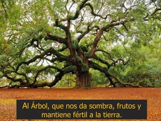 A l Árbol, que nos da sombra, frutos y mantiene fértil a la tierra. 