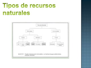 Tipos de recursos naturales