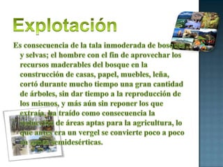 ExplotaciónEs consecuencia de la tala inmoderada de bosques y selvas; el hombre con el fin de aprovechar los recursos maderables del bosque en la construcción de casas, papel, muebles, leña, cortó durante mucho tiempo una gran cantidad de árboles, sin dar tiempo a la reproducción de los mismos, y más aún sin reponer los que extraía, ha traído como consecuencia la reducción de áreas aptas para la agricultura, lo que antes era un vergel se convierte poco a poco en zonas semidesérticas.