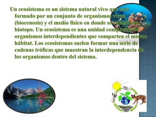 Un ecosistema es un sistema natural vivo que está formado por un conjunto de organismos vivos (biocenosis) y el medio físico en donde se relacionan, biotopo. Un ecosistema es una unidad compuesta de organismos interdependientes que comparten el mismo hábitat. Los ecosistemas suelen formar una serie de cadenas tróficas que muestran la interdependencia de los organismos dentro del sistema.