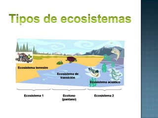 Tipos de ecosistemas