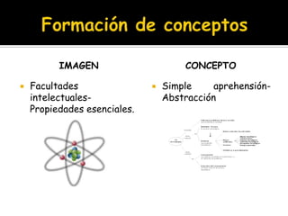 Formación de conceptosImagenFacultades intelectuales- Propiedades esenciales.ConceptoSimple aprehensión- Abstracción