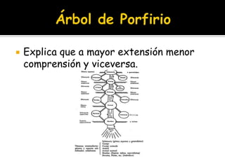 Árbol de PorfirioExplica que a mayor extensión menor comprensión y viceversa.
