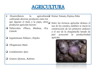 AGRICULTURA
 Desarrollaron       la      agricultura   Frutas: Tomate, Pepino, Palta
  cultivando diversos productos entre los
  que figuran el maíz y la papa, otros      Entre las técnicas agrícolas destaca el
  productos agrícolas fueron:                uso de los canales, también se inició la
 Tubérculos: Olluco, Mashua, Oca            construcción de los primeros andenes
  Camote                                     y el uso de la chaquitaclla (arado de
                                             pie) acrecentó la productividad
 Leguminosas: Pallares , Frijoles           agrícola.


 Oleaginosas: Maní

 Condimentos: Ajíes

 Granos: Quinua , Kañiwa
 