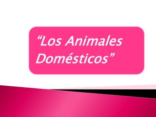 “Los Animales
Domésticos”
 