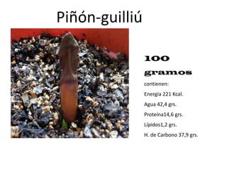 Poseen ácidos grasos mono y poli insaturados