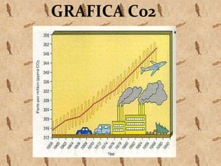 GRAFICA C02