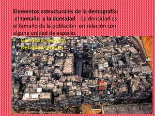 Elementos estructurales de la demografía:
 el tamaño y la densidad .. La densidad es
el tamaño de la población en relación...