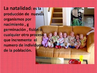 La natalidad: es la
producción de nuevos
organismos por
nacimiento , g
germinación , fisión o
cualquier otro proceso
que incremente el
numero de individuos
de la población.
 
