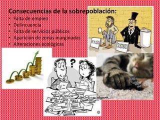 Consecuencias de la sobrepoblación:
•   Falta de empleo
•   Delincuencia
•   Falta de servicios públicos
•   Aparición de zonas marginadas
•   Alteraciones ecológicas
 