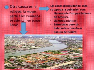 Otra causa es el       Las zonas planas donde mas
                       se agrupa la población son:
relieve: la mayor      • Llanuras de Europas llanuras
parte e los humanos       de América
se asientan en zonas   • Llanuras asiáticas
llanas.                • Entre otras pero sin
                          habitantes como lo es
                          llanura de tundra
 
