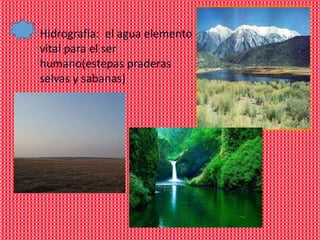 Hidrografía: el agua elemento
vital para el ser
humano(estepas praderas
selvas y sabanas)
 