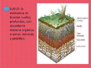 SUELO: la
existencia de
buenos suelos,
profundos, con
abundante
materia orgánica
o zonas mineras
y petróleo.
 
